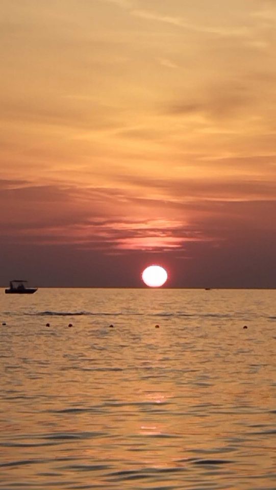 1727192051-img_20240822_195503.jpg